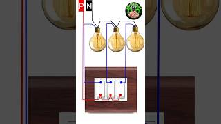 3 Gang Switch Wiringelectricalwiringelectricalinstallationshortsshortsfeedwiringtecnic [upl. by Voltmer]