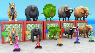 Mammoth Elephant Tiger Gorilla TRex Guess The Right Key ESCAPE ROOM CHALLENGE Animals Cage Game [upl. by Acile]