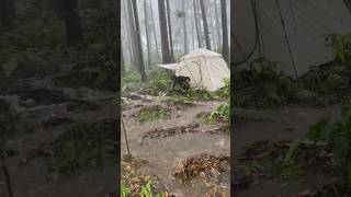 RAINSTORM amp FLOOD AROUND THE TENT shorts [upl. by Rysler482]