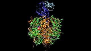 Biochimica 4 Ciclo di Krebs e fosforilazione ossidativa [upl. by Namrak]