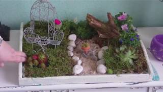 DIY  Der Garten fürs Wohnzimmer  Mini Garten  Fairy Garden [upl. by Senn]