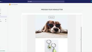 Newsletter  Email Marketing  Shopify App [upl. by Uehttam31]