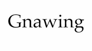 How to Pronounce Gnawing [upl. by Shandeigh]