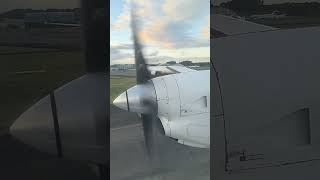 Landing in Auckland International Airport New Zealand newzealand aviation travel vlog [upl. by Samaj]