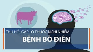 Thu hồi gấp lô thuốc nghi nhiễm bệnh bò điên  VTC1 [upl. by Rodmur]