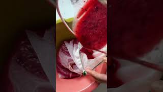 Fresh and Organic Plum Juice Recipe  Juicer amp Blender [upl. by Quincey]