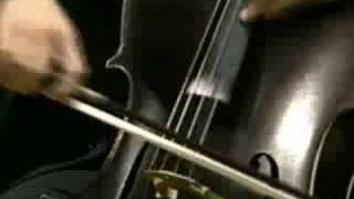 SaintSaëns Cello Concerto Nº1 Part 1 William Molina CestariCello [upl. by Llereg]