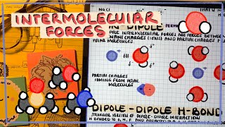 Intermolecular Forces IonDipole Hydrogen Bonding DipoleDipole London Dispersion Interactions [upl. by Gnem990]