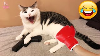 Best Funny Animals 2024 😂 Funniest Dogs and Cats Videos 😻🐶 part 91 [upl. by Assenad129]