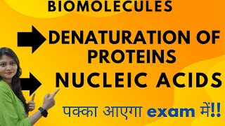 Denaturation Of Proteins  Nucleic Acids  Biomolecules  Class 12  Proteins  😱😱🔥🔥 [upl. by Orson]