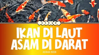 IKAN DI LAUT ASAM DI DARAT I ADIBAH NOOR [upl. by Eldred]