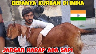 KURBAN DI INDIA  BEDANYA KURBAN DI INDIA DENGAN INDONESIA  JANGAN TANYA KENAPA TIDAK ADA SAPI [upl. by Yrrok183]