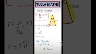 Perimeter of a sector maths circle sector angle fyp shorts stem school study shapes exam [upl. by Efinnej]