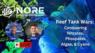 Reef Tank Wars Conquering Nitrates Phosphates Algae and Cyano [upl. by Notluf3]