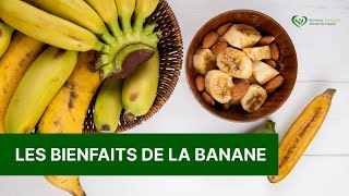 Les bienfaits de la Banane🍌 [upl. by Doralia938]