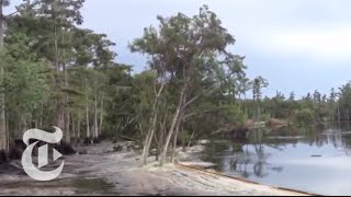 Sinkhole in Louisiana Swallows Trees  Caught on Tape 2013  The New York Times [upl. by Hanway]