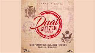 Dual Citizen Riddim Mix ▶DEC 2018▶ KonshensJah CureI OctaneCharly Black amp More Troyton Music [upl. by Zorah824]