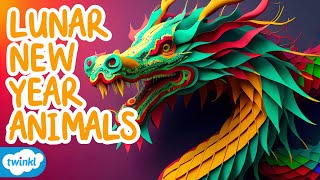 What is this Years Lunar New Year Animal  Lunar New Year Animals for Kids [upl. by Auj]