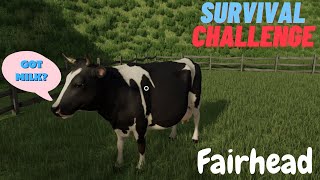 MILKING THE COWS FOR ££££S Survival Challenge EP43 Farming Simulator 22 Fairhead [upl. by Yblek]