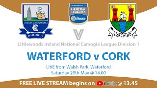 Waterford v Cork  National Camogie League 2021 [upl. by Aciraa]