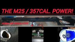 Are Helmet Bulletproof VS Air Rifle Pcp [upl. by Lombardy]