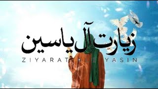 ziarat e ale yasin Ali fani Ziyarat Ale Yasin   علی فانی  زیارت آل یاسین [upl. by Ydahs]