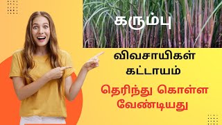 கரும்பு விவசாயிகள் கட்டாயம் தெரிந்து கொள்ள வேண்டியது [upl. by Bridge925]