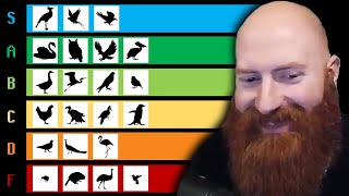 Xeno Reacts to The Bird Tier List by TierZoo [upl. by Groark958]