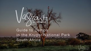 A Guide to Kruger National Park Camps [upl. by Ailelc385]