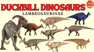 🦕 Lambeosaurinae Species of Duckbill Dinosaurs Name kidseducation kidslearning dinosaur [upl. by Kcireddor]