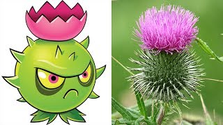 Plants vs Zombies 2 Plants In Real Life [upl. by Lozar593]