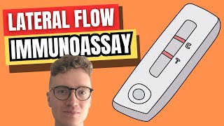 Lateral Flow Immunoassay LFIA EXPLAINED [upl. by Haldes]