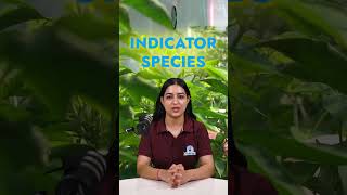 What Are Indicator Species Environmental Science Insights 🌿 Role of Indicator Species in Ecosystems [upl. by Kal]