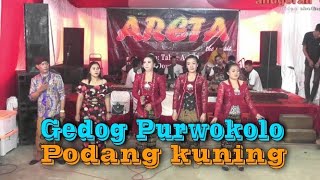 GEDOG PURWOKOLO  PODANG KUNING SRAMPAT ARETA BUDOYO [upl. by Olympias706]