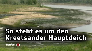 Schutz vor Sturmflut Erste Bauarbeiten am Kreetsander Hauptdeich fertig [upl. by Melborn]