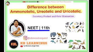 Difference between Ammonotelic Ureotelic and Uricotelic mode of Excretion  NEET  FoundationCollegeFC [upl. by Anneg499]