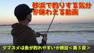 【砂浜釣り】ベンジーの話でもしながら魚を待ってみようか [upl. by Samuela]