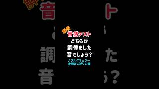 【音感テストVol67】解答どちらが調律した音？ブルグミュラー 夜明けの祈りの鐘 [upl. by Tsirc]