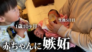 新生児にヤキモチを妬く1歳10ヶ月そして2週間検診で良くない結果が判明しました【2週間検診】 [upl. by Klement25]