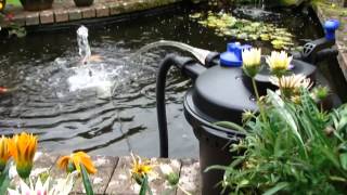 Pressurised Pond Filter Set Up PFC5000  All Pond Solutions [upl. by Oirretna]