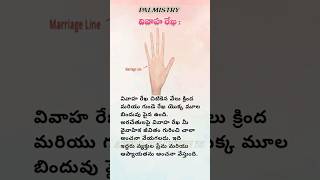 Marriage Line Palmistry  Palm Reading shorts shortvideo viral [upl. by Evot]