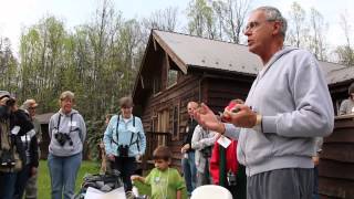 Watch a hummingbird get trapped and banded [upl. by Jeffcott]