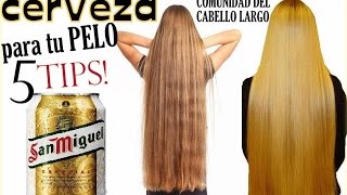 CERVEZA PARA TU PELO 5 TIPS ¡Beneficios y usos para el cabello [upl. by Debo]