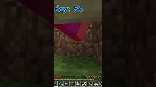 spending 100 days of 3 layers of dirt day 54 amp 55 100dayschallenge minecraft gaming [upl. by Brick714]