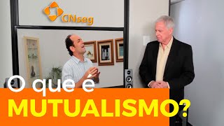 O que é Mutualismo  Entenda o Seguro [upl. by Aimat]