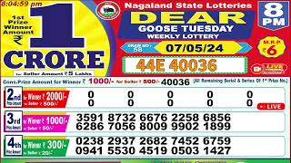 Dear goose tuesday weekly lottery 8PM 07052024 [upl. by Rheims]