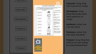 ecosystem  biotic and abiotic components worksheet and answers biology DeepuStudyresources [upl. by Ani]