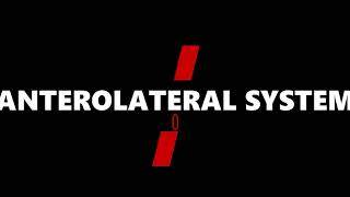 Anterolateral System ALS Pathway [upl. by Ramedlav]