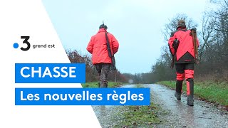 Plan de sécurité de la chasse  réactions de chasseur lors dune battue [upl. by Prady]