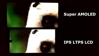 Super Amoled vs IPS Display Test [upl. by Retxed390]